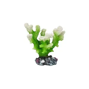 A/ORN CORAL GREEN/WHITE