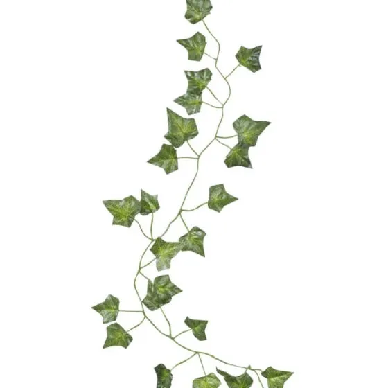 Botanical Wedding Beautiful Decorative Vines