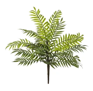 Rogue Palm Fern Green 36x36x43cm