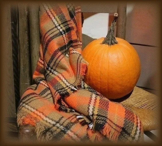 Throw Blanket Autumn Colors Beautiful