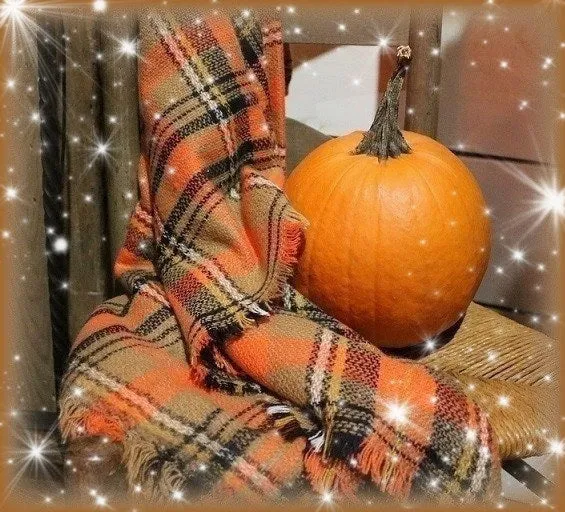Throw Blanket Autumn Colors Beautiful