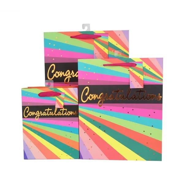 X Large Neon Stripes Gift Bag - 30cm x 42cm x 12cm